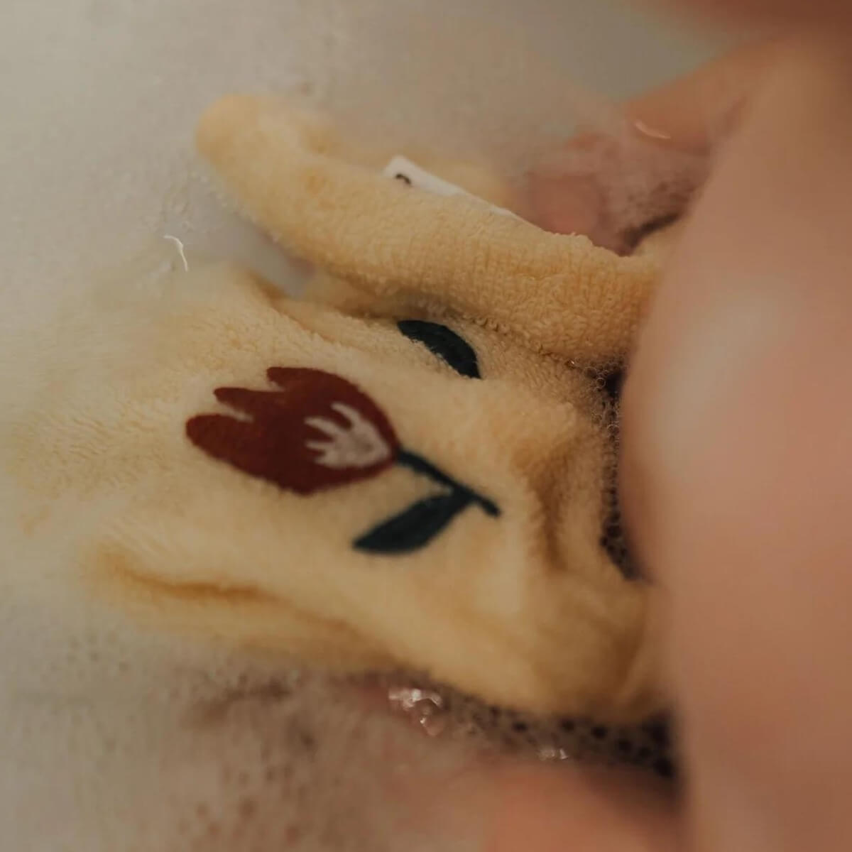 2 gants de toilette 15x22cm PAW embroidered Terry Dear April harmony