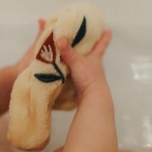 2 gants de toilette 15x22cm PAW embroidered Terry Dear April harmony