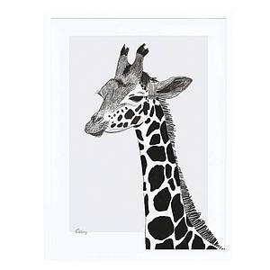 Affiche encadrée Serengeti La Girafe Lilipinso