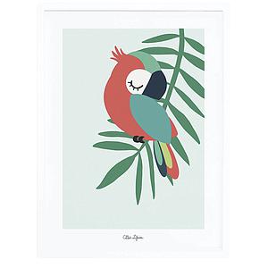 Affiche encadrée Tropica Perroquet Vert Lilipinso