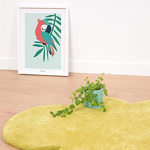 Affiche encadrée Tropica Perroquet Vert Lilipinso