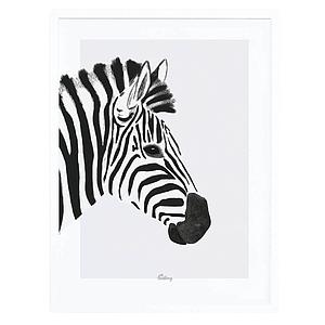 Affiche encadrée Zèbre Lilipinso