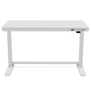 Bureau électrique RISE Lifetime