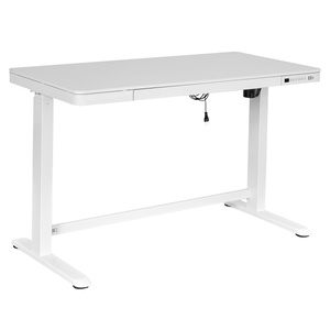 Bureau électrique RISE Lifetime