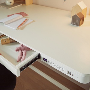 Bureau électrique RISE Lifetime