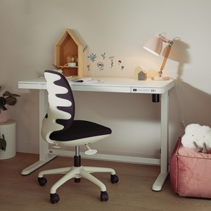 Bureau électrique RISE Lifetime