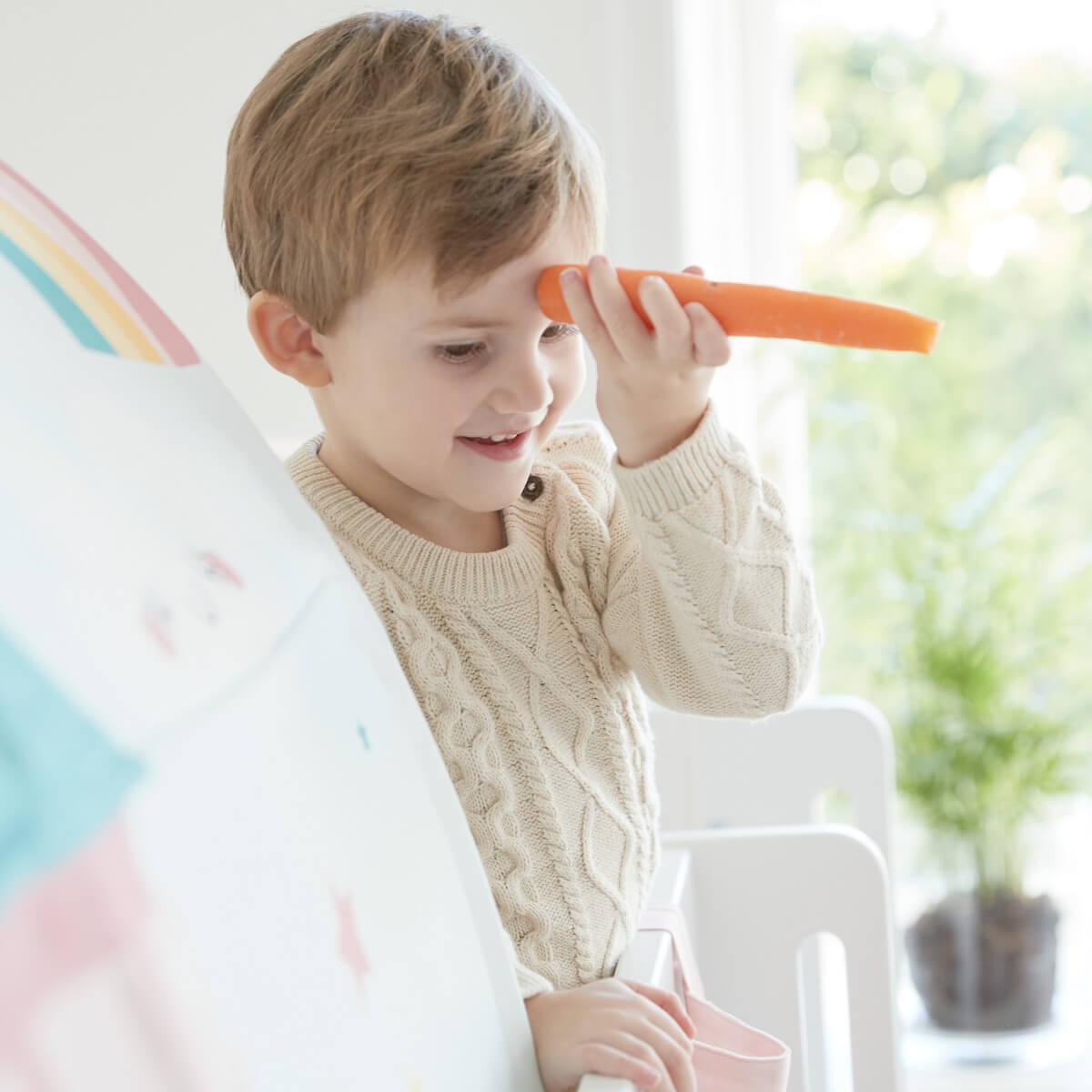 Cabane tunnel jeu PRINCESSE Flexa 