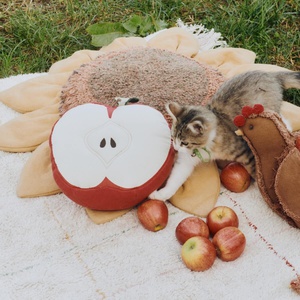 Coussin 30x30cm APPLE Lorena Canals