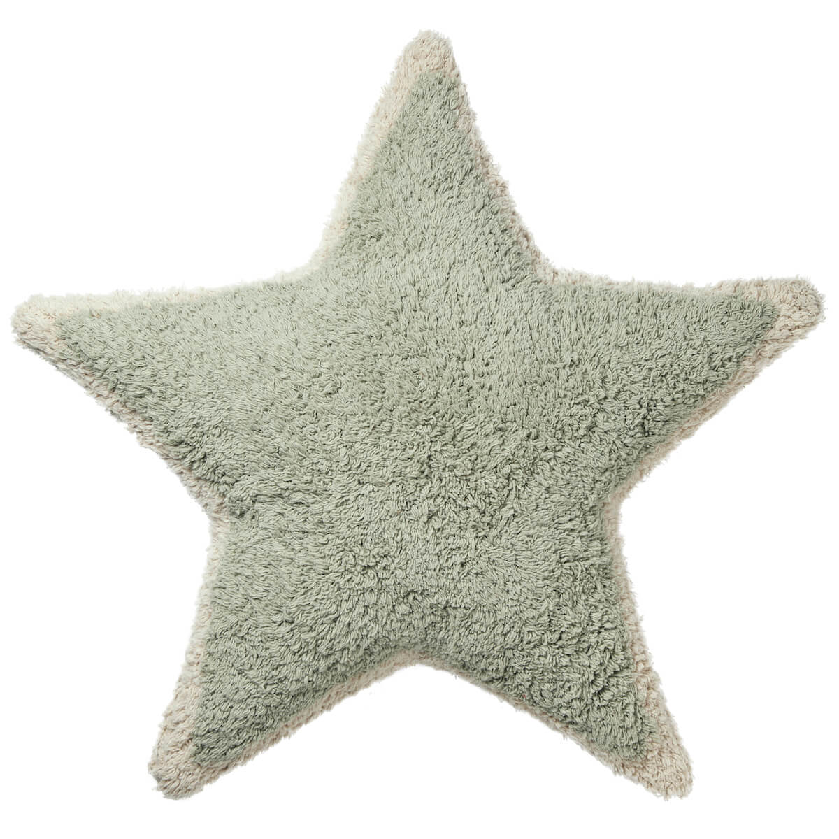 Coussin STAR Lifetime sage blue