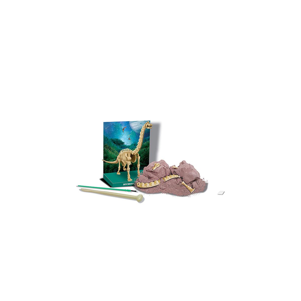 Déterre ton dinosaure brachiosaurus DINOSAUR 4M
