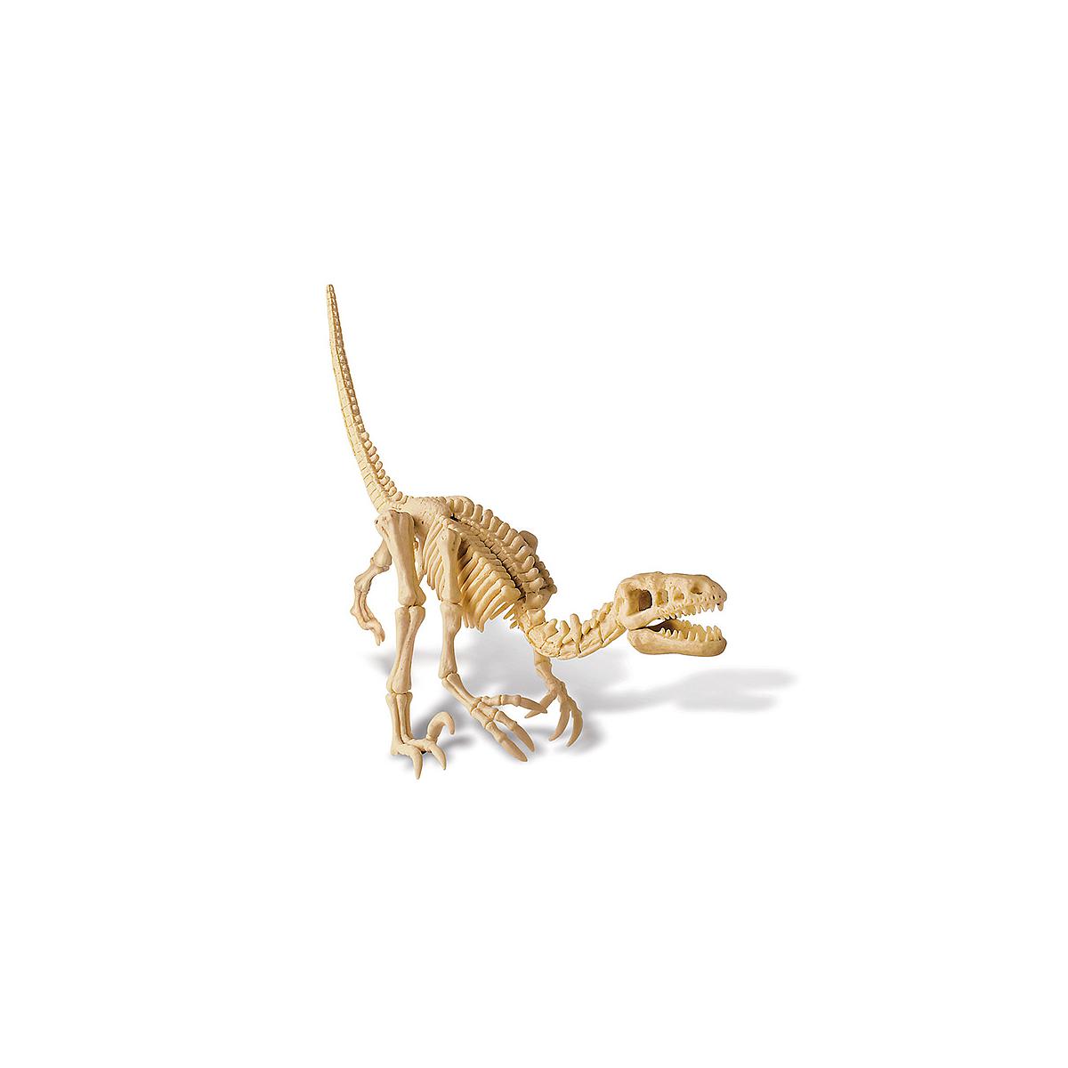 Déterre ton dinosaure DINOSAURE 4M