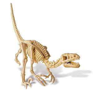 Déterre ton dinosaure DINOSAURE 4M