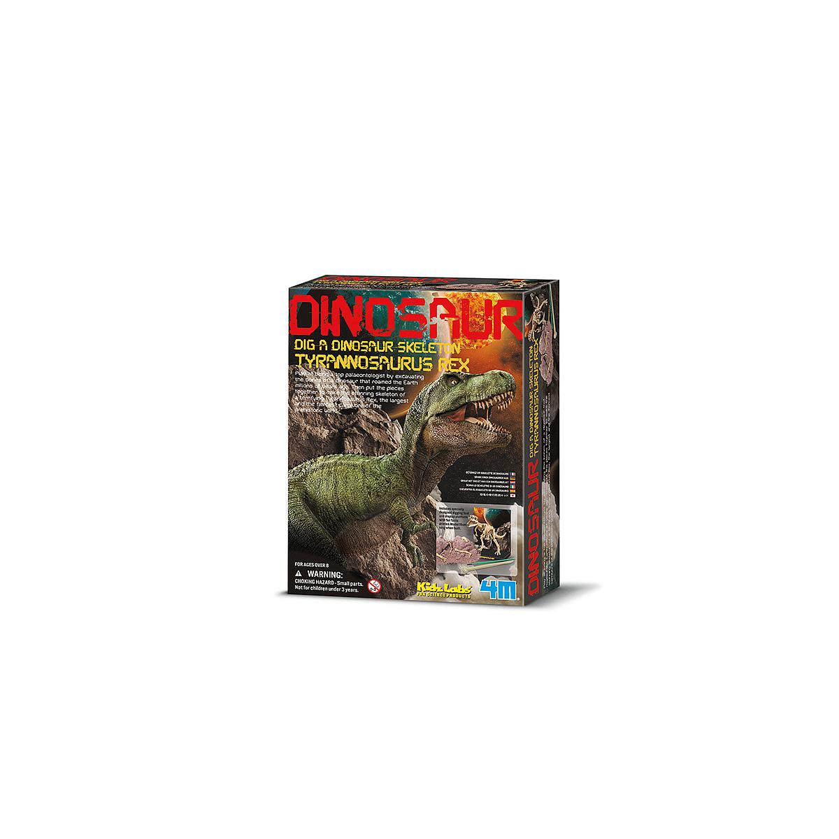 Déterre ton dinosaure Tyrannosaure Rex DINOSAUR 4M