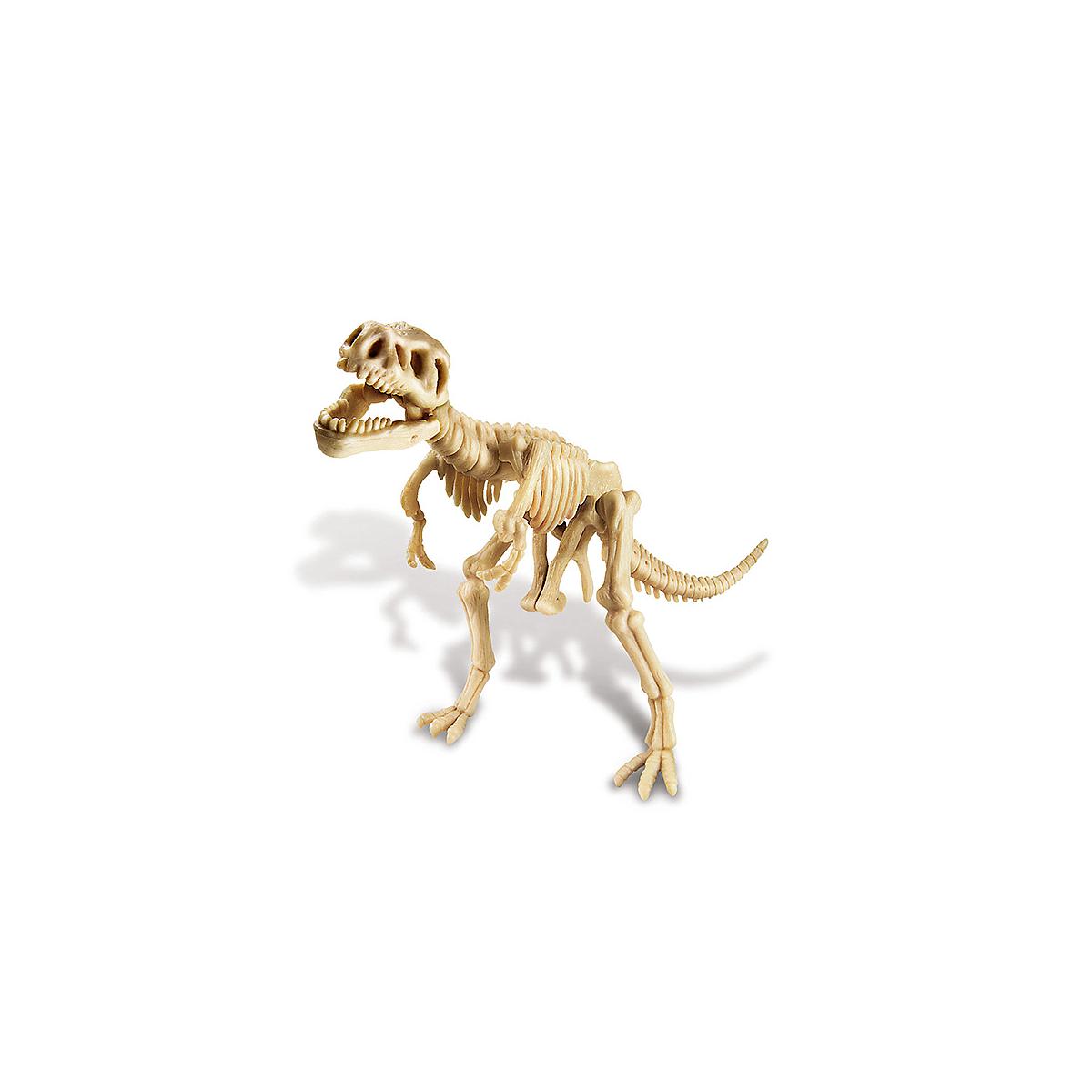 Déterre ton dinosaure Tyrannosaure Rex DINOSAUR 4M