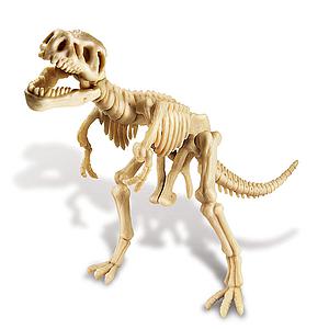 Déterre ton dinosaure Tyrannosaure Rex DINOSAUR 4M