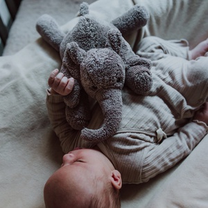 Doudou BATTEMENTS DE COEUR GEORGE Flow Amsterdam grey