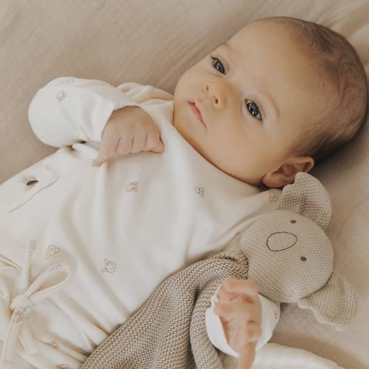 Doudou KOALA en tricot Bamboom oyster grey