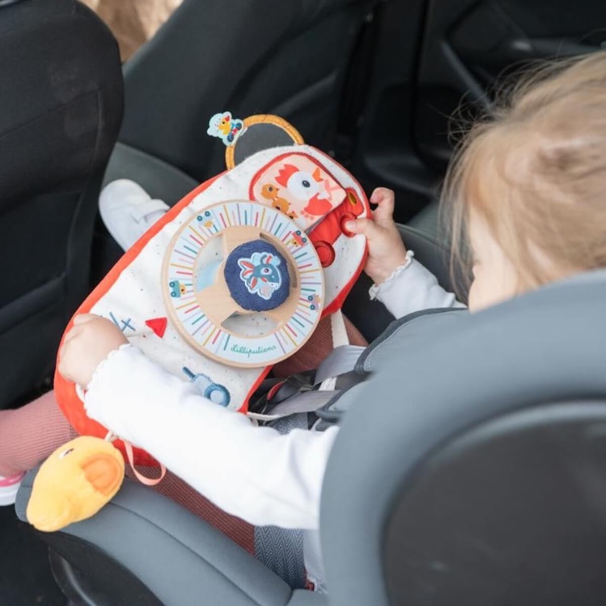 Ferme Panneau D'Activites En Voiture Lilliputiens