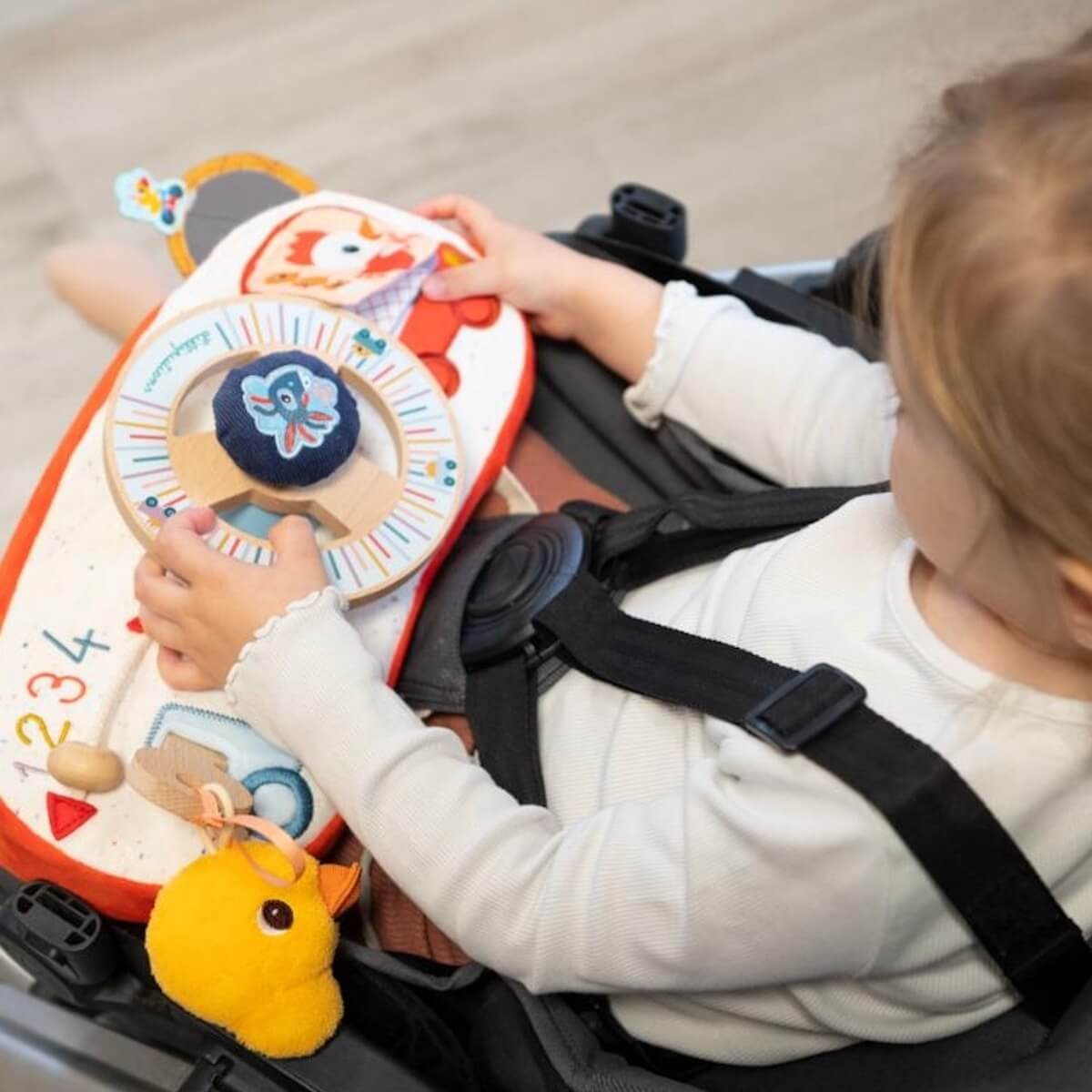 Ferme Panneau D'Activites En Voiture Lilliputiens