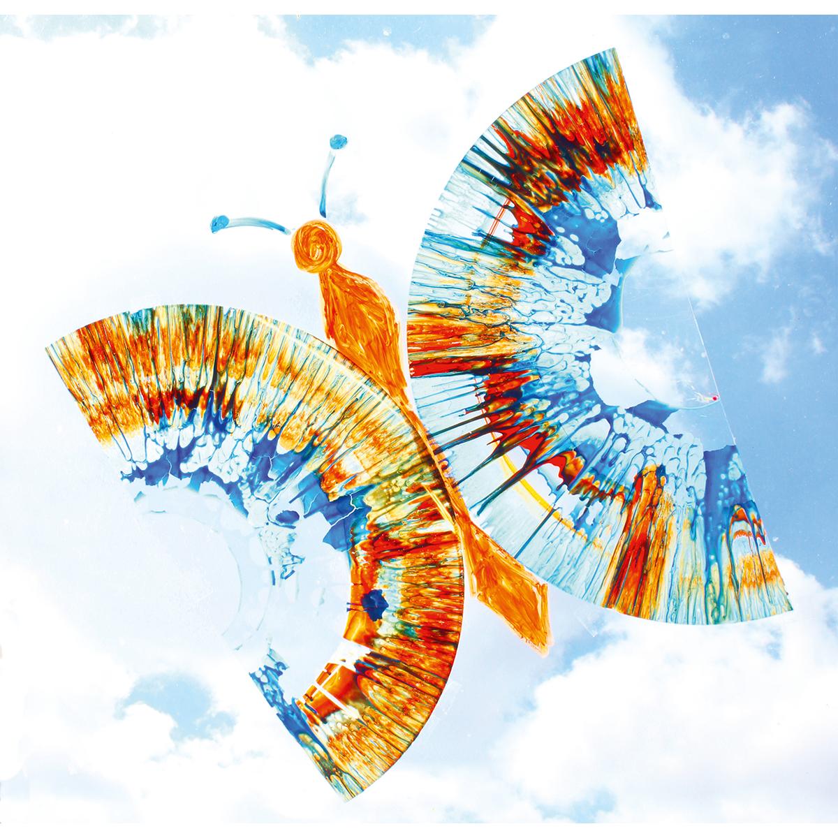 Film transparent pour Flying Colours 50 pièces Beleduc