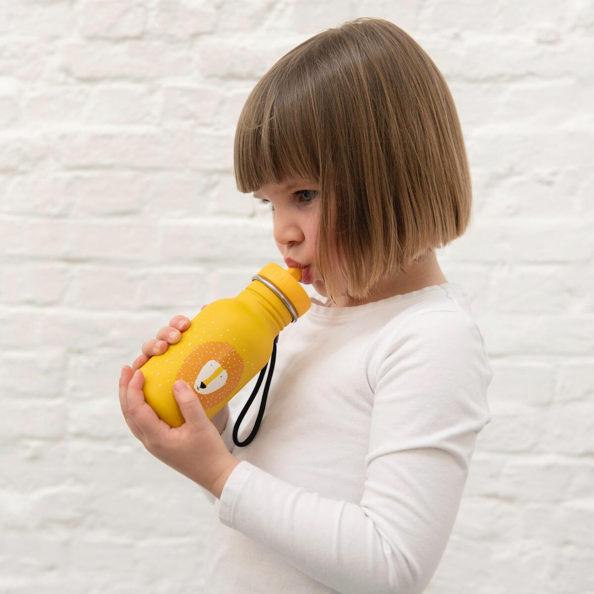 Gourde enfant 350ml Mr. Lion Trixie