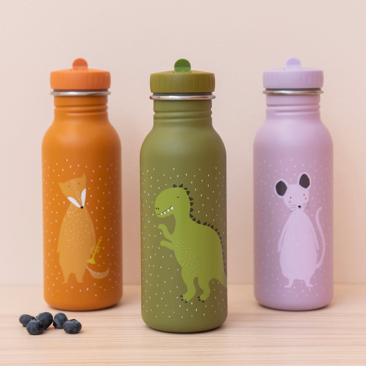 Gourde enfant 500ml Mr. Dino Trixie