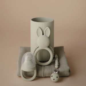 Grignoteur bébé 2pc Mushie Sage