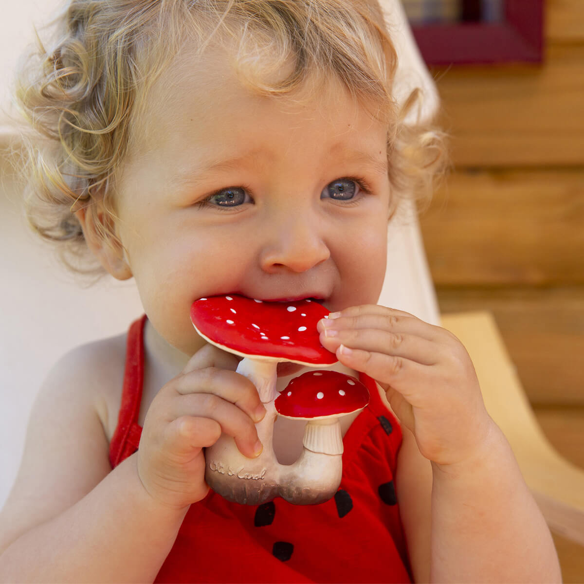 Jouet à mordiller SPOT TH MUSHROOM Oli&Carol