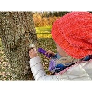 Lampe de poche Lumière LED d'explorateur Beleduc