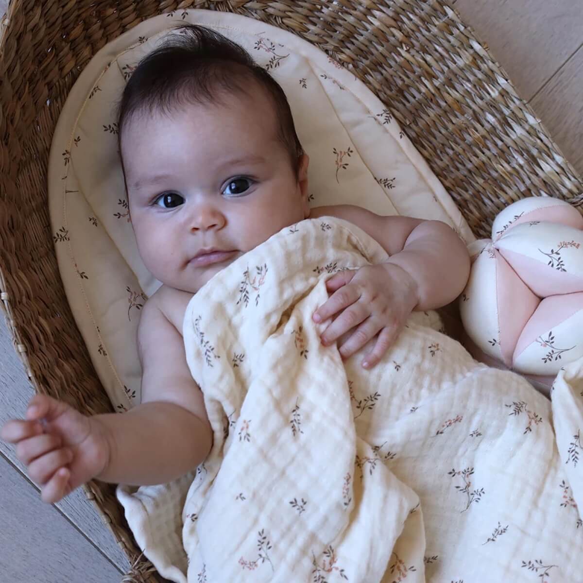 Lange à panier OCS Ashley Cam Cam
