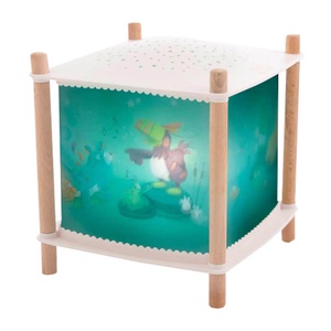 Lanterne magique DANS LA JUNGLE Moulin Roty
