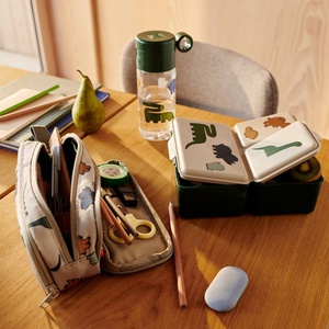 Lunchbox DRISS Liewood Dinosaurs-Mist