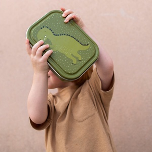Lunchbox large Mr. DINO Trixie