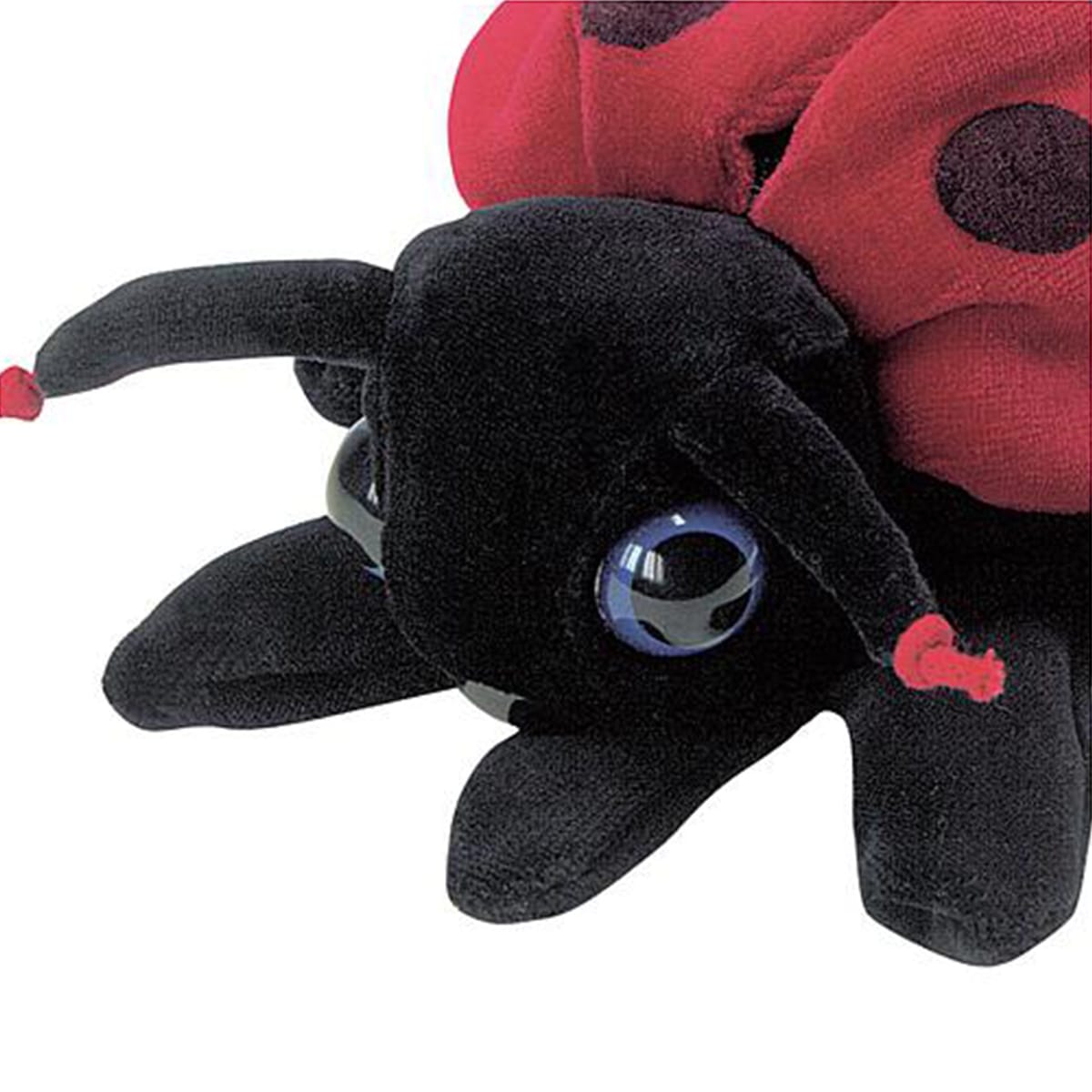 Marionnette COCCINELLE Beleduc