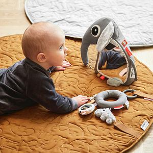 Miroir activité ELPHEE Done by Deer grey