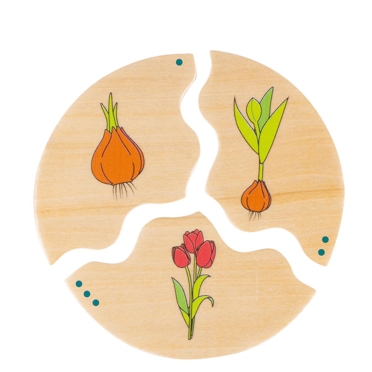 NAWITO Développement Beleduc