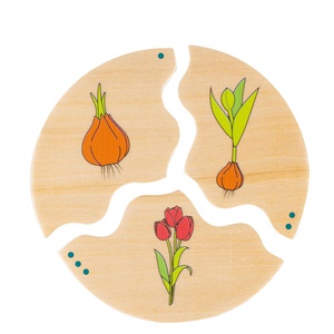 NAWITO Développement Beleduc