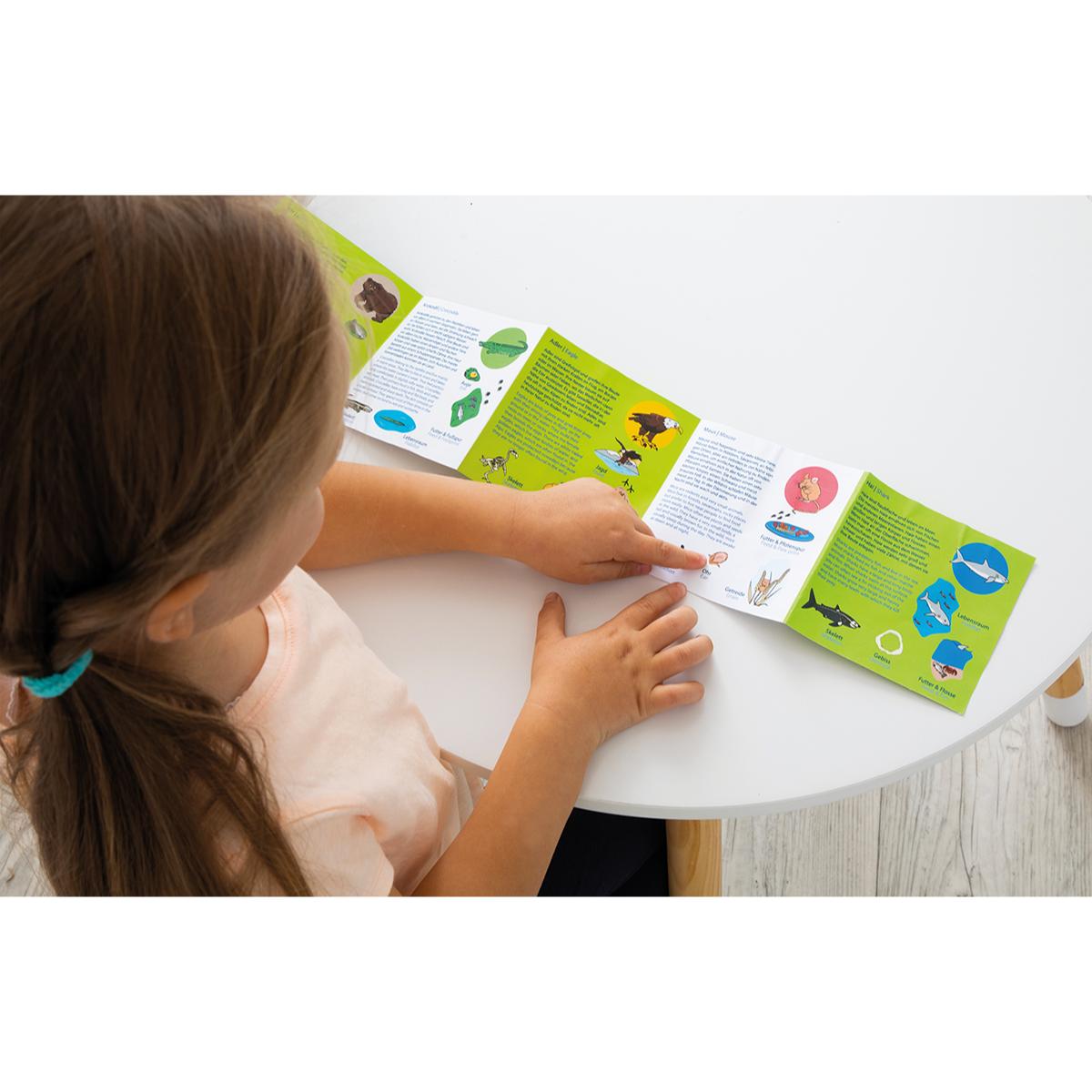 NAWITO Espèces animales Beleduc