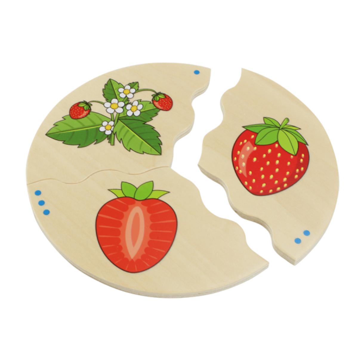 NAWITO Fruits Beleduc