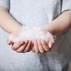 Oreiller 50x70cm SLEEP Flexa