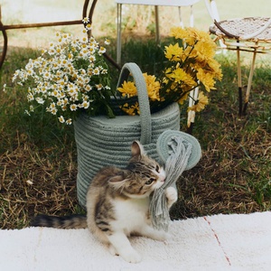 Panier de rangements 51x26x38cm WATER CAN Lorena Canals