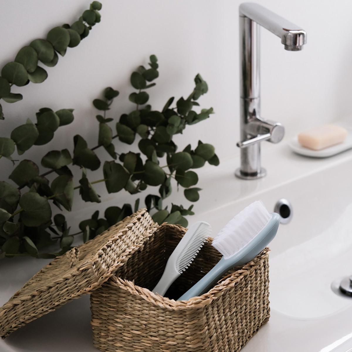 Peigne-brosse Beaba Green Blue
