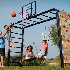 PlayBase Large TL (Disc swing+Rings+Climbing wall) Berg