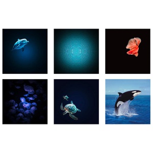 Projecteur d'images KIDYSTAR Kidywolf Ocean