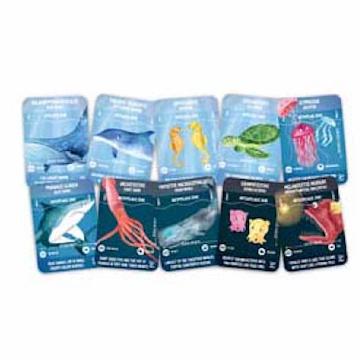 Puzzle 200pcs OCEAN LIFE Hape
