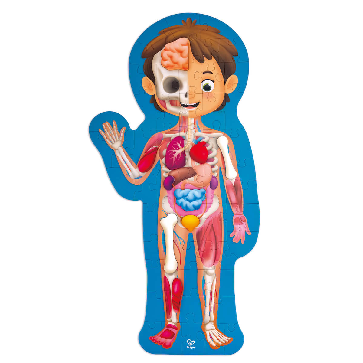 Puzzle 60pcs HUMAN BODY Hape