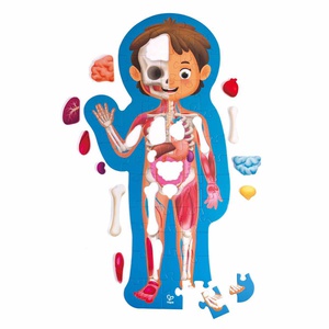 Puzzle 60pcs HUMAN BODY Hape
