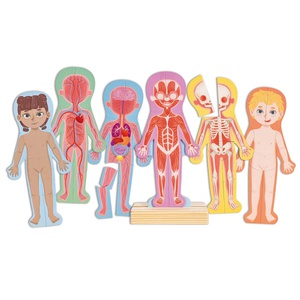 Puzzle aimanté assemble le corps humain Hape