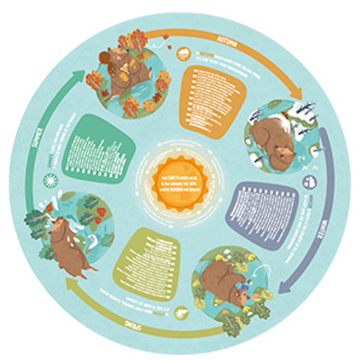 Puzzle circulaire 4 saisons Hape