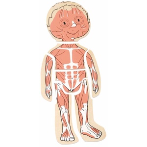 Puzzle corps Garçon Beleduc